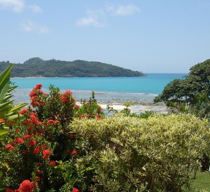 Sailfish Beach Villas Anse a La Mouche Ngoại thất bức ảnh